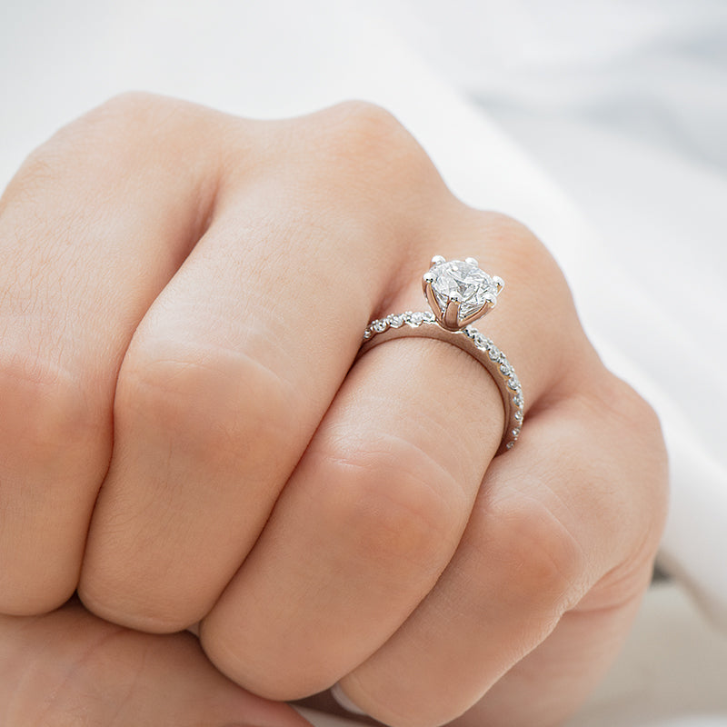 2mm 6 Prong Set Pavé 1/2ctw
